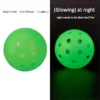 Indoor and Outdoor Pickleball Balls for Clubs, Schools, Parks & Bulk Programs_VortexPaddle (2) Indoor and Outdoor Pickleball Balls for Clubs, Schools, Parks & Bulk Programs